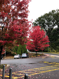 Walgreens - Photo 3 - Car repair in Lynchburg, VA, Lynchburg