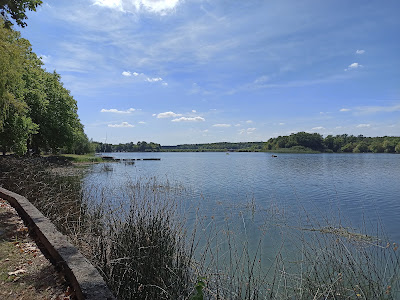 Étang de Mittersheim à Mittersheim