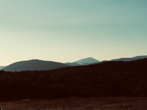 Winery «The Cottage Vineyard & Winery», reviews and photos, 5050 US-129, Cleveland, GA 30528, USA