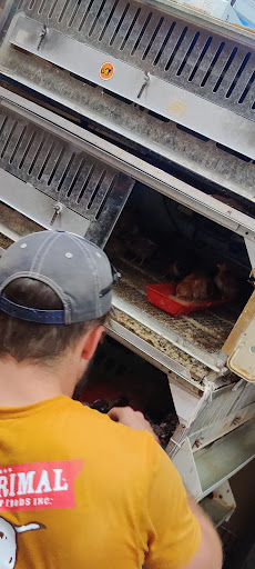 Animal Feed Store «Futrals Feed Store», reviews and photos, 3371 Palm Beach Blvd, Fort Myers, FL 33916, USA