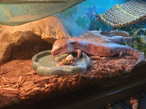 Pet Store «Birds & Beasts Pet Shop», reviews and photos, 35 Berkshire Dr # 18, Crystal Lake, IL 60014, USA