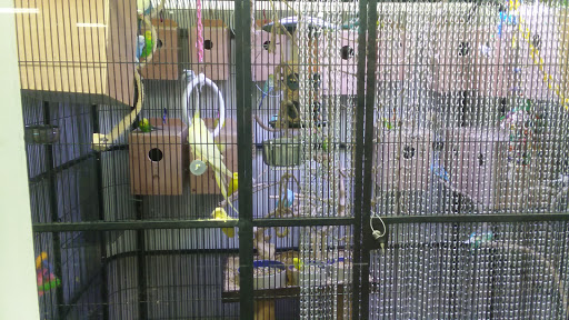 Pet Store «Birds & Beasts Pet Shop», reviews and photos, 35 Berkshire Dr # 18, Crystal Lake, IL 60014, USA