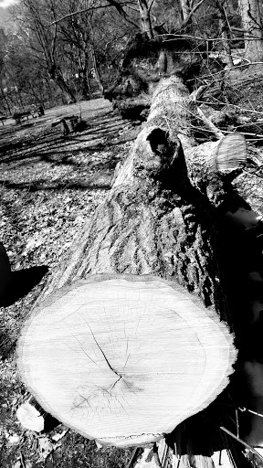 Park «Bronx River Park», reviews and photos, 2 Bronx River Pkwy, Scarsdale, NY 10583, USA