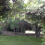 Photo n°29 de l'avis de laura.a fait le 27/05/2018 à 11:54 sur le  Resort Tenuta Pilastru à Arzachena