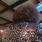 Photo n°6 de l'avis de Claudia.e fait le 08/05/2023 à 23:04 sur le  The Millenium pub - L'Irish Pub numero 1 in Italia à Busto Arsizio