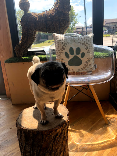 Pet Supply Store «Wag», reviews and photos, 2450 Harney St, Omaha, NE 68131, USA