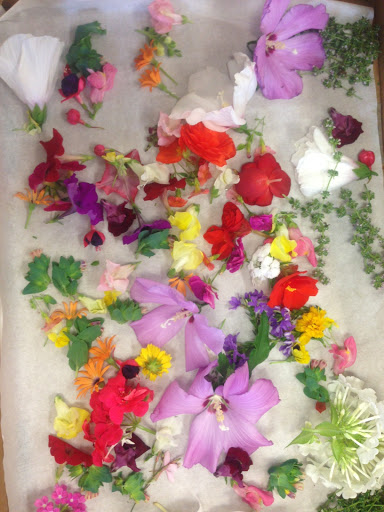 Produce Market «Highland Orchards Farm Market», reviews and photos, 1431 Foulk Rd, Wilmington, DE 19803, USA