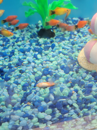 Pet Supply Store «PetSmart», reviews and photos, 863 St George Ave, Woodbridge, NJ 07095, USA