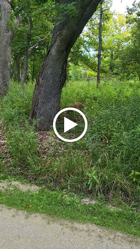 Nature Preserve «Greenbelt Forest Preserve», reviews and photos, 1110 S Green Bay Rd, North Chicago, IL 60035, USA