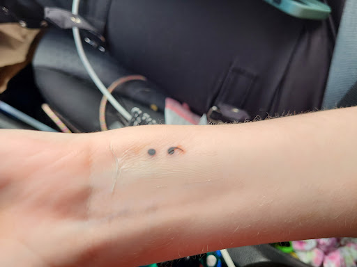 Explore louisiana tattoo ideas, creative tattoo ideas in Danvers, available at The Kingdom Tattoo Co.