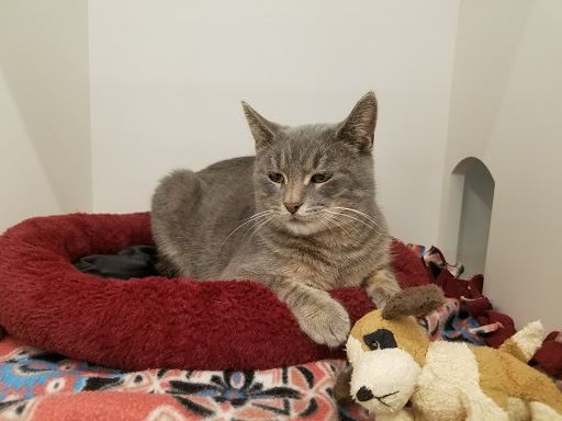 Pet Supply Store «Pet Supplies Plus», reviews and photos, 2928 Hardrock Rd, Fitchburg, WI 53719, USA