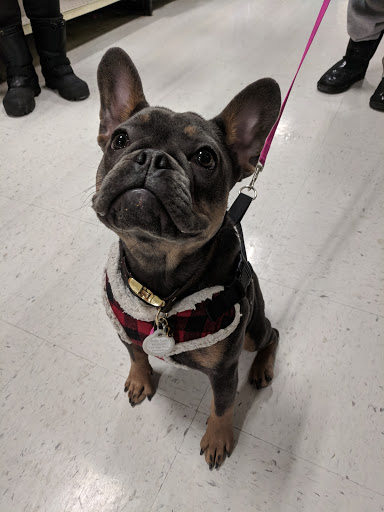 Pet Supply Store «PetSmart», reviews and photos, 8287 W Golf Rd, Niles, IL 60714, USA