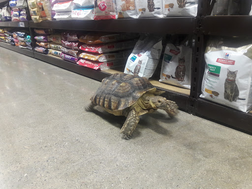 Pet Supply Store «Premier Pet Supply», reviews and photos, 31215 Southfield Rd, Beverly Hills, MI 48025, USA