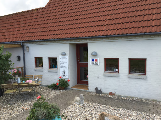 Odense Hundesalon in Tommerup, Assens