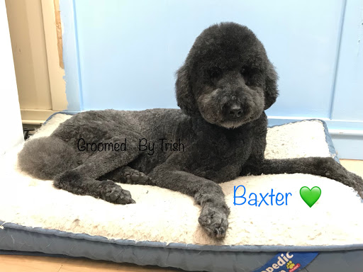 Pet Store «Planet Pet», reviews and photos, 1980 W Fairbanks Ave, Winter Park, FL 32789, USA