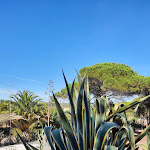 Photo n°2 de l'avis de Alena. fait le 21/08/2023 à 22:31 sur le  Quinta Da Torre à Óbidos