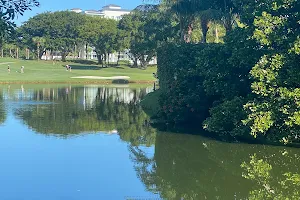 The Boca Raton Golf Club image