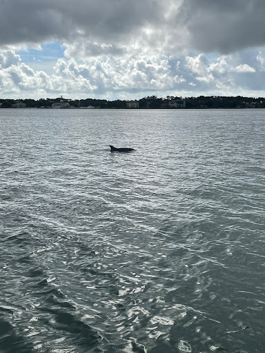 Tourist Attraction «Pirates of Hilton Head», reviews and photos, 149 Lighthouse Rd, Hilton Head Island, SC 29928, USA