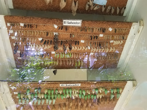 Animal Protection Organization «Butterfly Pavilion», reviews and photos, 6252 W 104th Ave, Westminster, CO 80020, USA