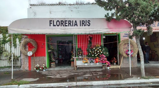 floreria Iris – Pátzcuaro