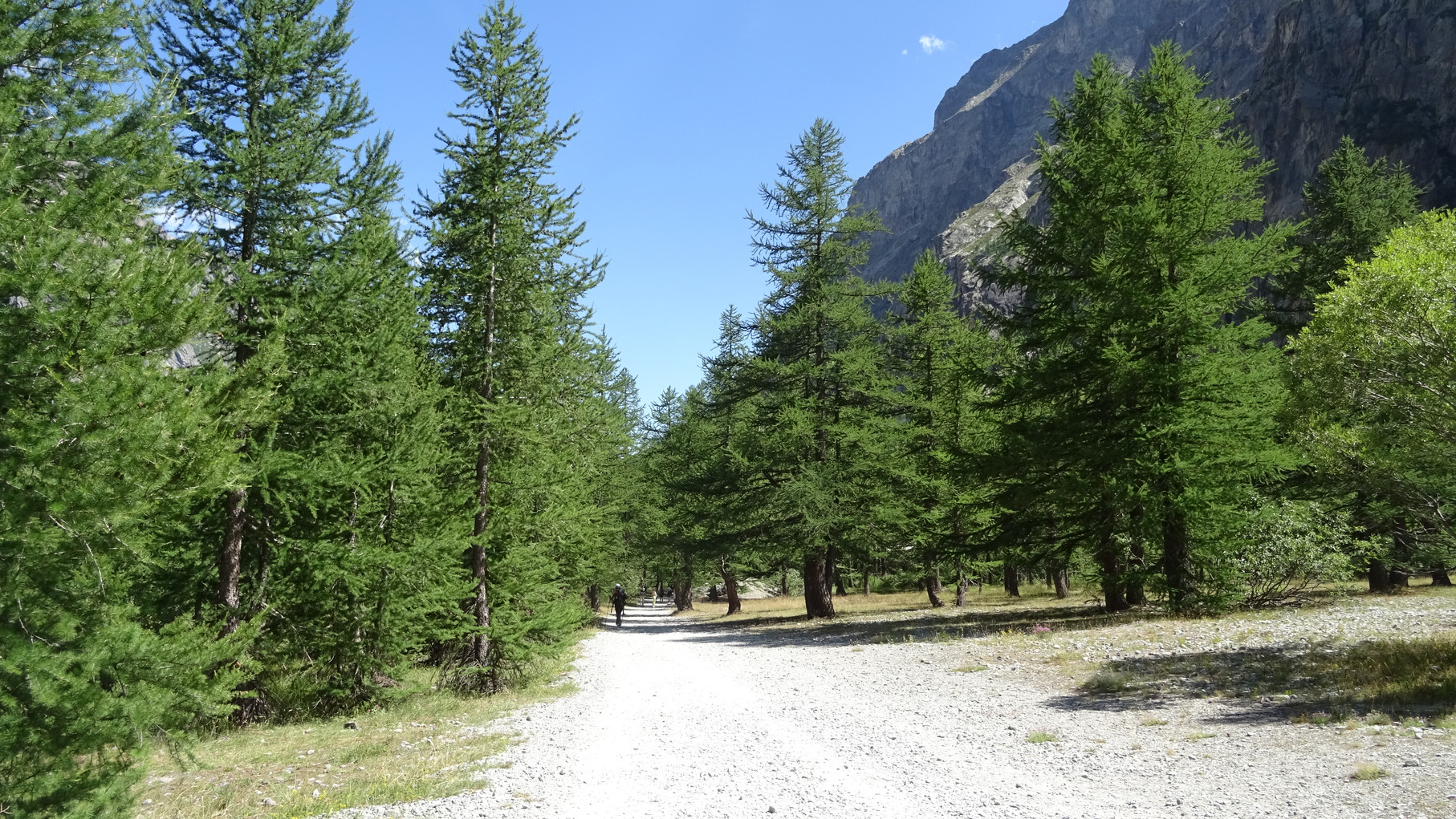 Photo n° 18 de l'avis de Jean-François.l fait le 04/08/2019 à 15:41