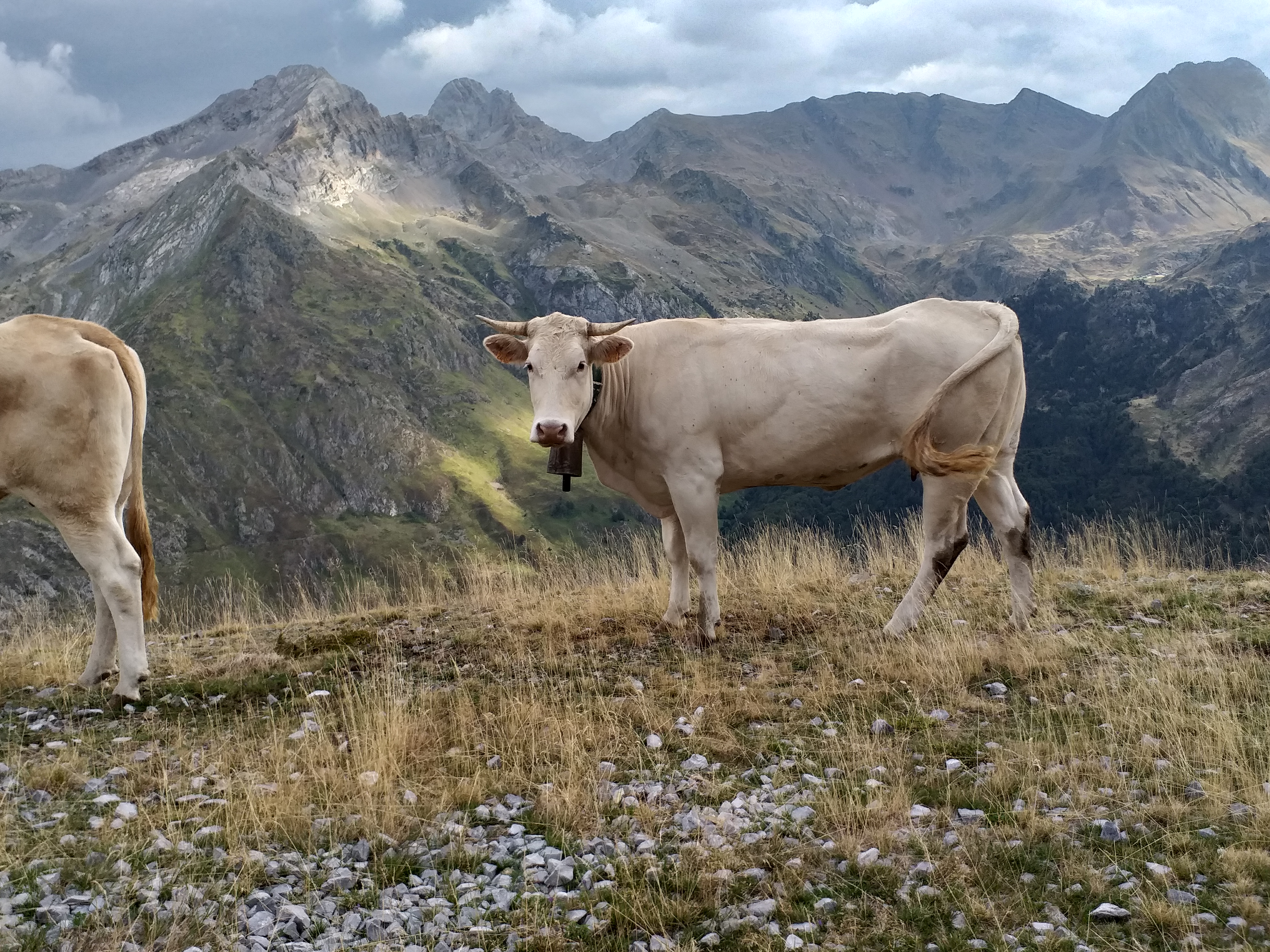 Photo n° 4 de l'avis de Bruno.i fait le 15/09/2023 à 17:14