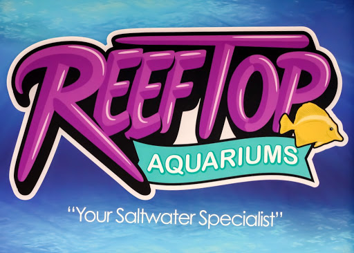 Pet Store «Reeftop Aquariums-Pet Boutique», reviews and photos, 13250 SW 87th Ave, Miami, FL 33176, USA