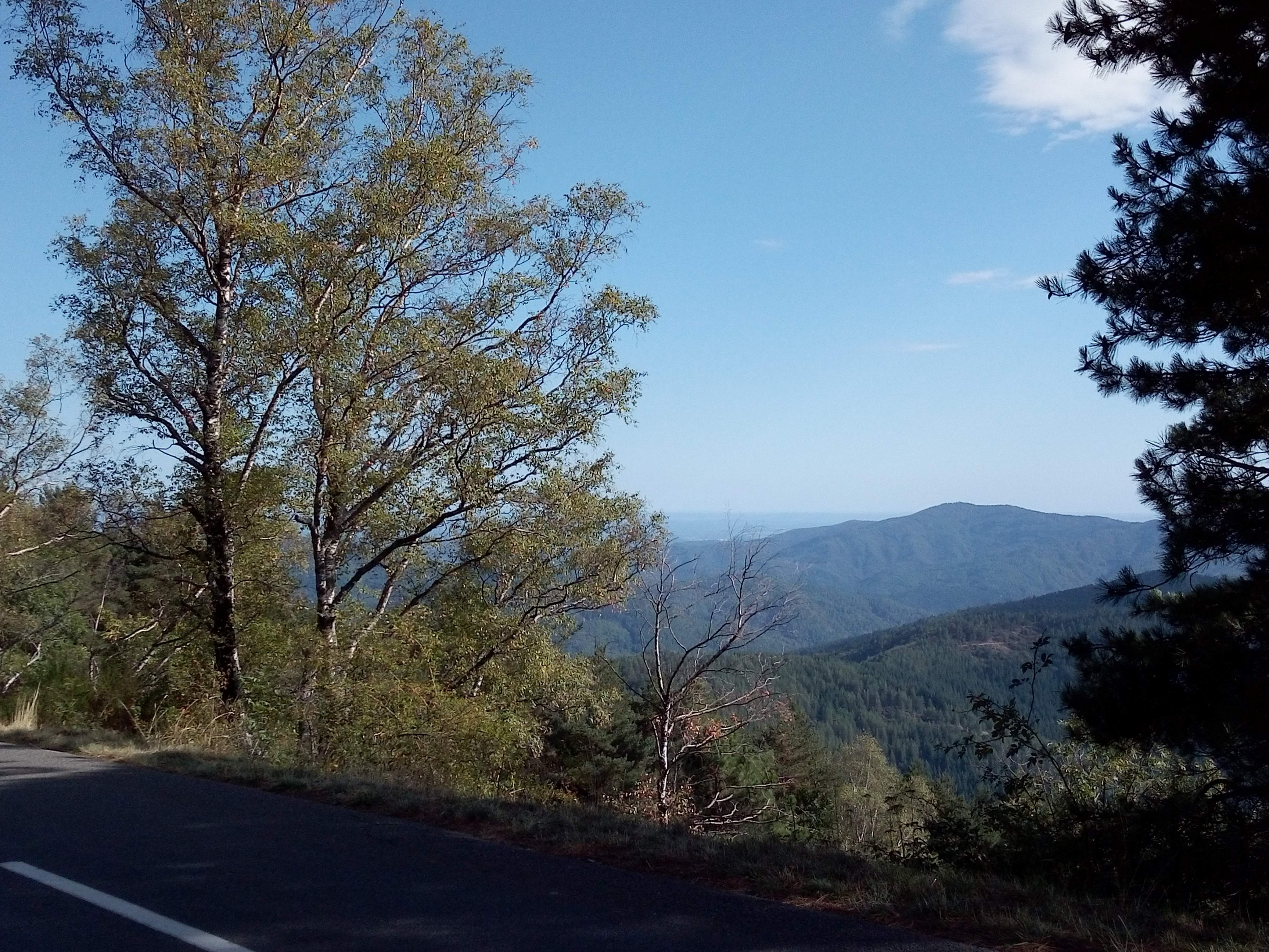 Photo n° 8 de l'avis de Mac.A fait le 27/09/2019 à 15:18