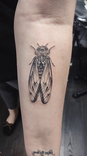 Explore male back tattoo ideas, creative tattoo ideas in Houston, available at True Love Studios