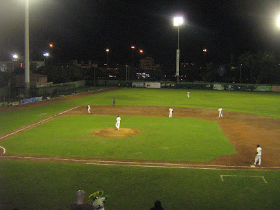 Estadio De Beisbol Miguel Cabrera