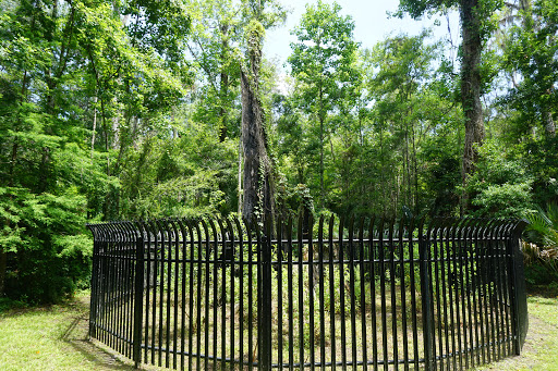 Park «Big Tree Park», reviews and photos, 761 General Hutchison Pkwy, Longwood, FL 32750, USA