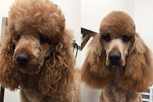 Top Dogs Pet Grooming Salon