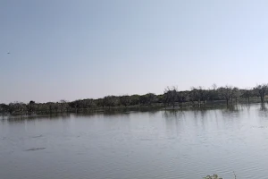 Kothari River image