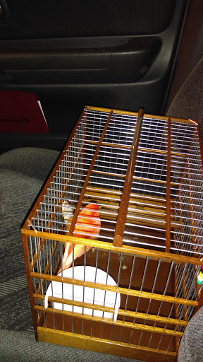 Supermarket «Fine Fare», reviews and photos, 1199 E 233rd St, Bronx, NY 10466, USA