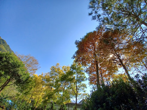 Chiayi County, Taiwan 605 by null