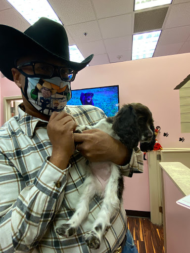 Pet Store «Furry Babies Inc», reviews and photos, 3340 Mall Loop Dr, Joliet, IL 60431, USA