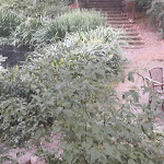 Photo n°3 de l'avis de Jochen.o fait le 23/06/2019 à 13:12 sur le  Wilminks Parkhotel à Neuenkirchen