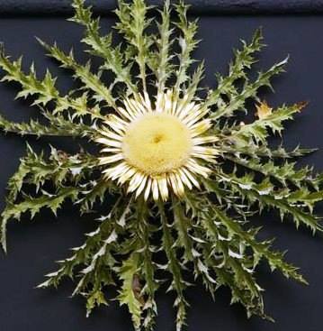 Arreglos De Ropa EGUZKILORE - Servicio Modista en Pamplona