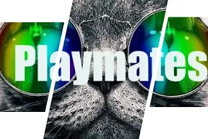 Playmates image