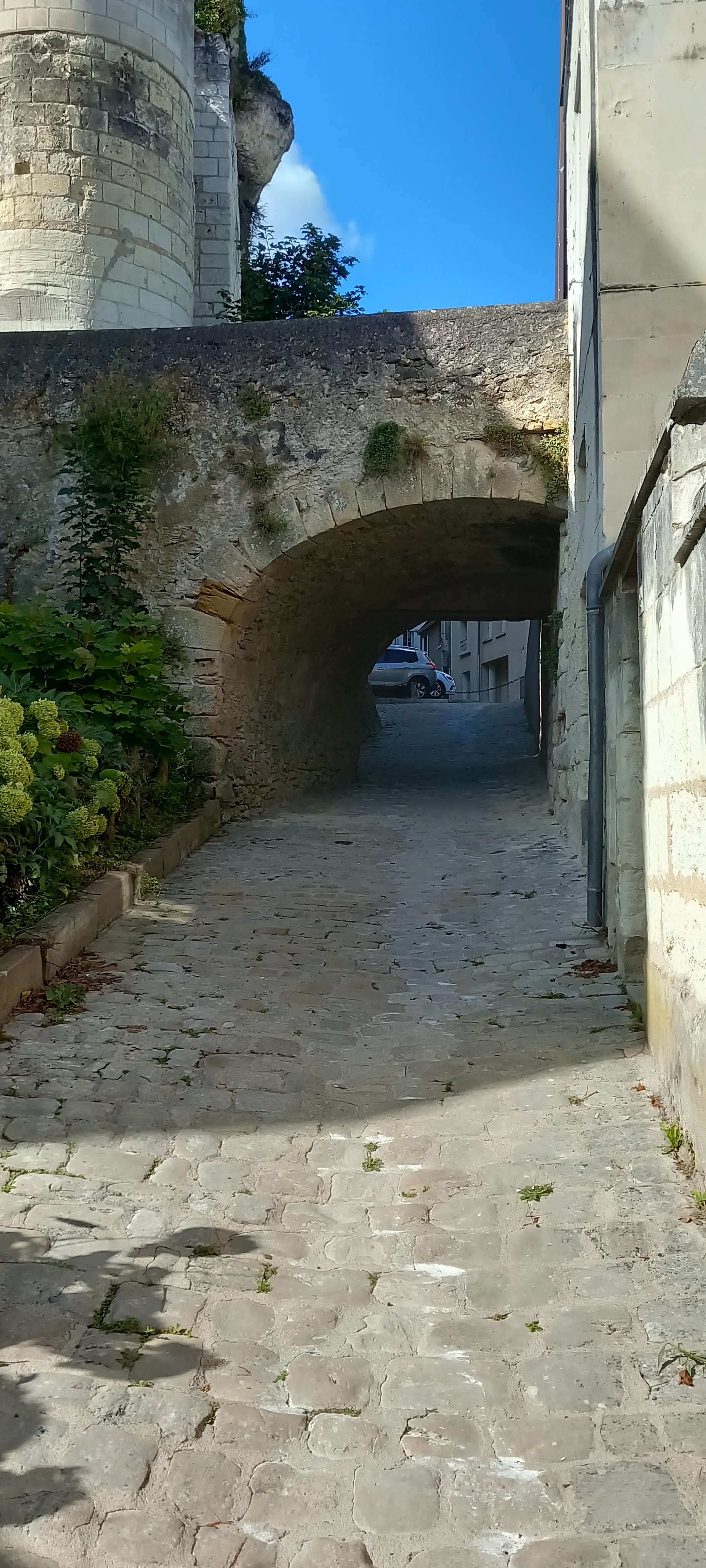 Photo n° 31 de l'avis de F.j fait le 17/09/2022 à 11:57