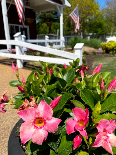 Auto Repair Shop «American Pride Automotive (Williamsburg)», reviews and photos, 5406 Airport Rd, Williamsburg, VA 23188, USA