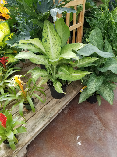 Florist «Breezewood Gardens & Gifts», reviews and photos, 17600 Chillicothe Rd, Chagrin Falls, OH 44023, USA