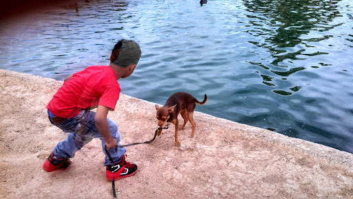 Golf Course «Encanto 9-Hole Golf Course», reviews and photos, 2300 N 17th Ave, Phoenix, AZ 85007, USA