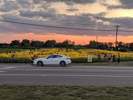 Park «Cottell Park», reviews and photos, 5847 Irwin Simpson Rd, Mason, OH 45040, USA