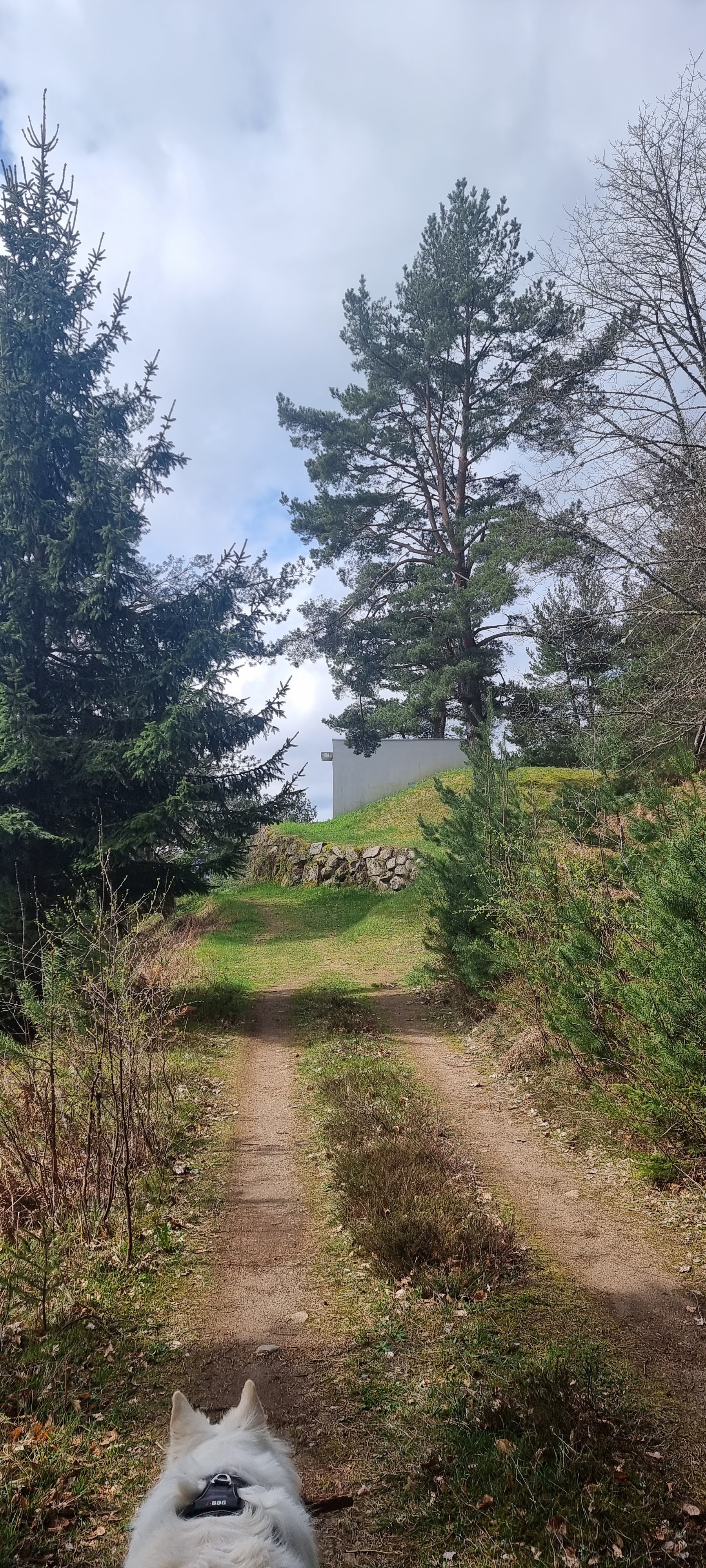 Photo n° 21 de l'avis de Laugal.a fait le 03/05/2023 à 16:28
