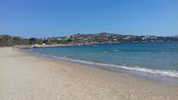 Asimaki beach'in fotoğrafı vahşi alan