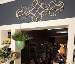 Sanctuary photo