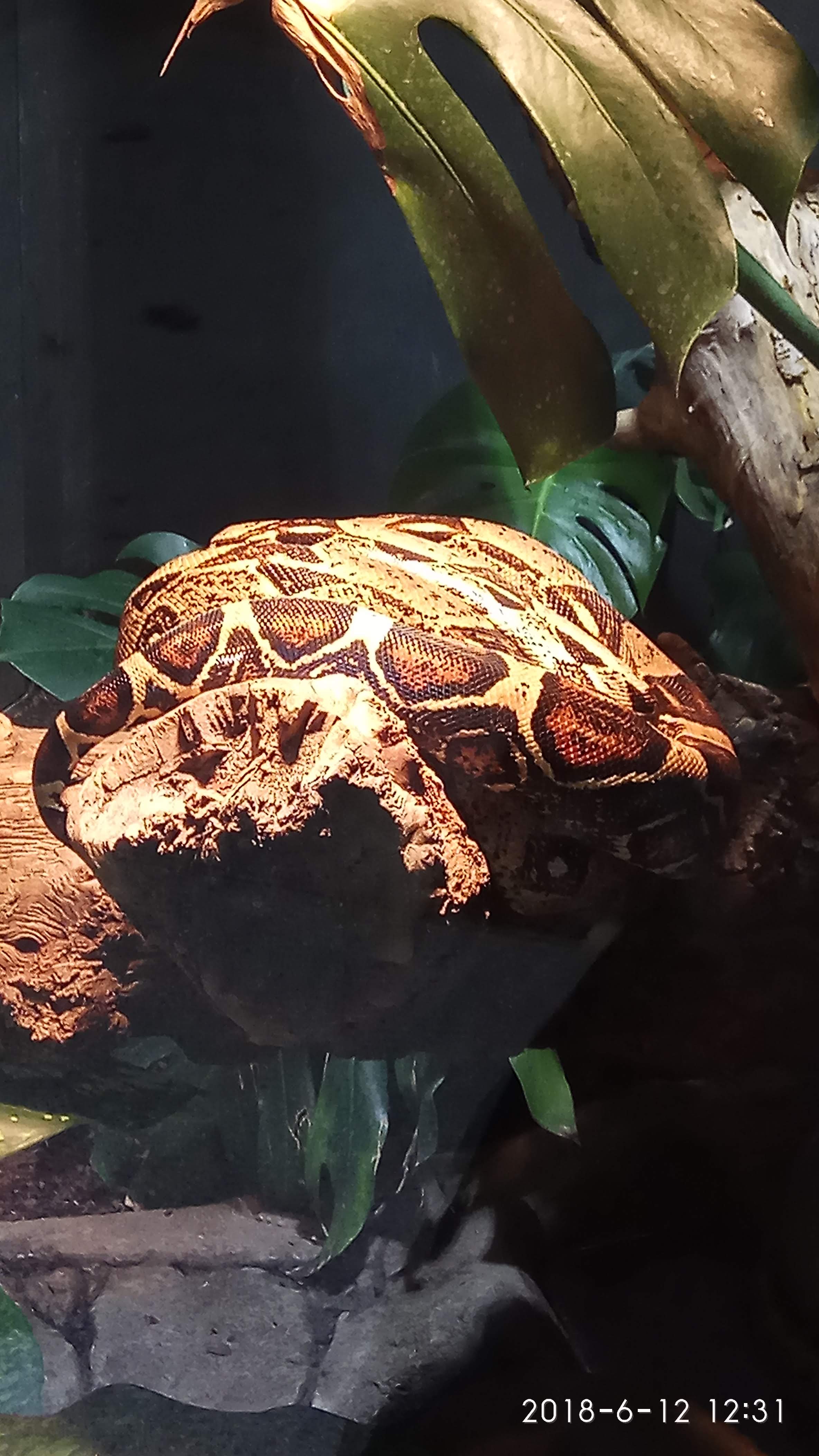 Photo n° 36 de l'avis de Swiss.e fait le 15/06/2018 à 19:24