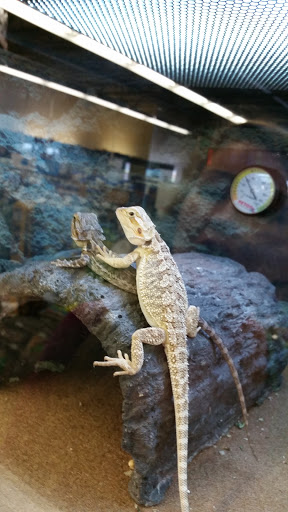 Pet Supply Store «Petco Animal Supplies», reviews and photos, 2714 Mountaineer Blvd, Charleston, WV 25309, USA