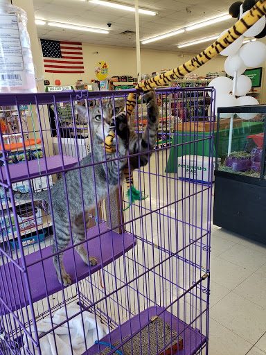 Pet Supply Store «Pet Supplies Plus», reviews and photos, 1258 Northlake Blvd, Lake Park, FL 33403, USA